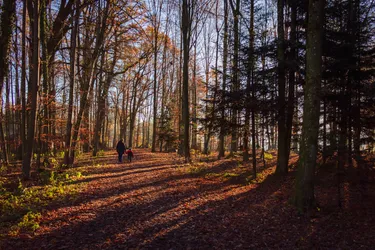 Herbstspaziergang