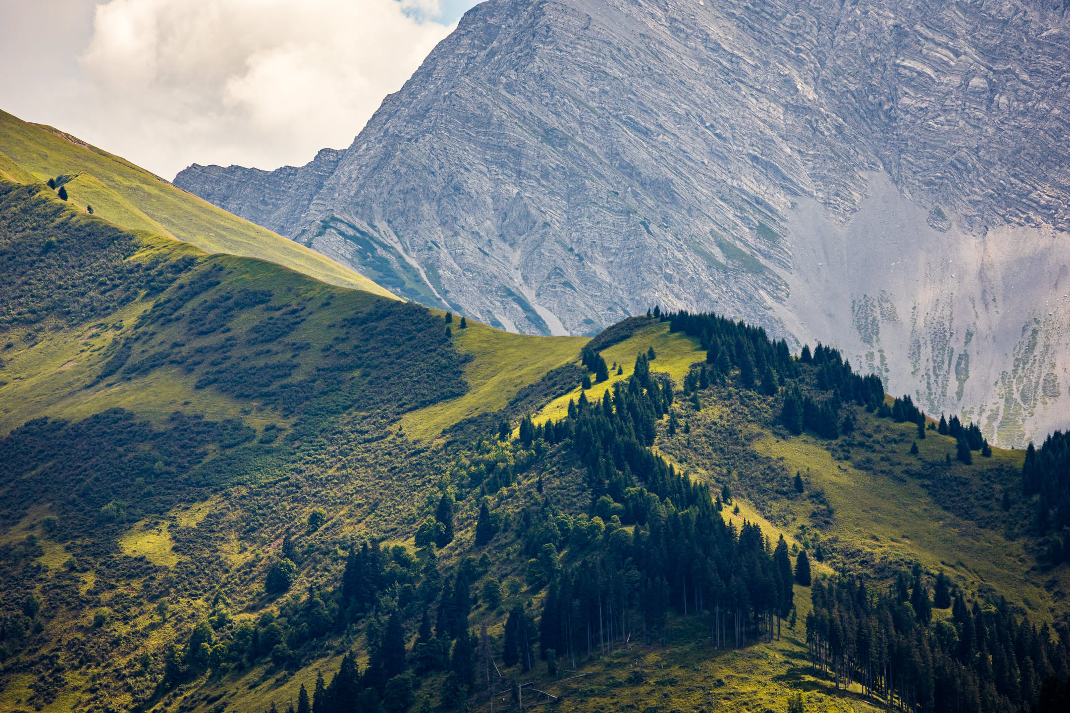 Alpine Landschaft
