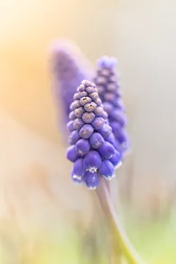 Frühling