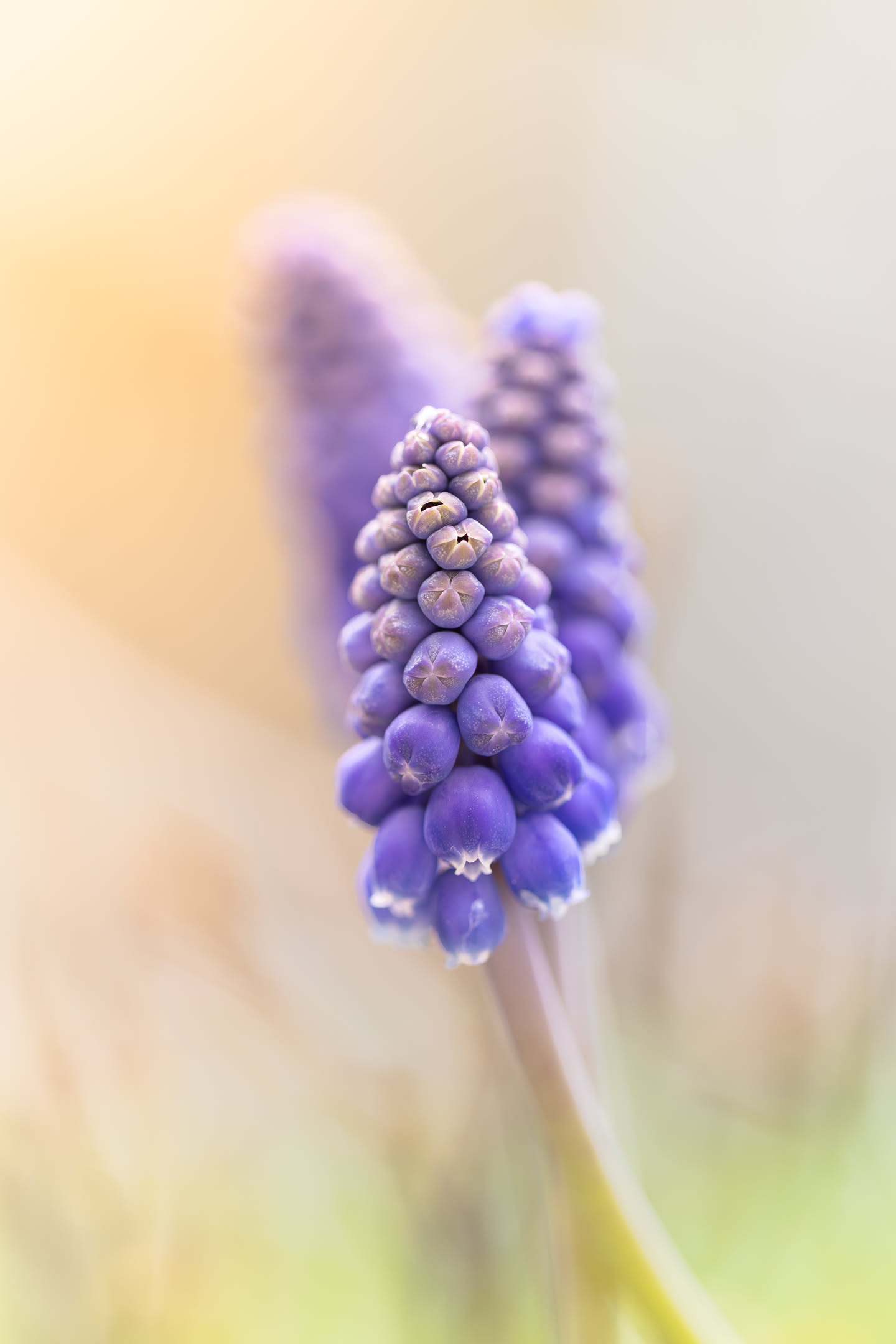 Frühling